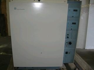 59953.jpg