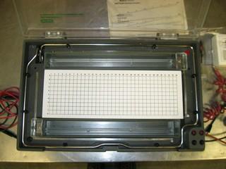 65261-3.jpg